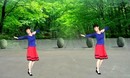 太湖一莲广场舞 小苹果 原创神曲 正背面演示