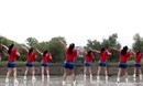 ��������㳡�� Сƻ�� ��������ʾ���ֽ�