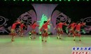 杨艺广场舞 我要到西藏 背身演示教学视频