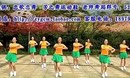 风儿广场舞 蒙古人 健身舞蹈 编舞王春生