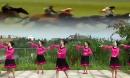 ���ʹ㳡�� Φ�ӻ��� 2014�㳡�赸����