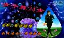 �γǹ㳡�� �ҵ�õ��׿���� 2014����㳡�赸����
