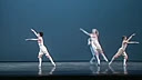 �����赸�糡 D���������