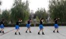 �綫С����㳡�� ��ҶһƬƬ��������