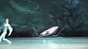�߸�ŵ�ް�����ѧУ2011���ҵ�ݳ�Ƭ��