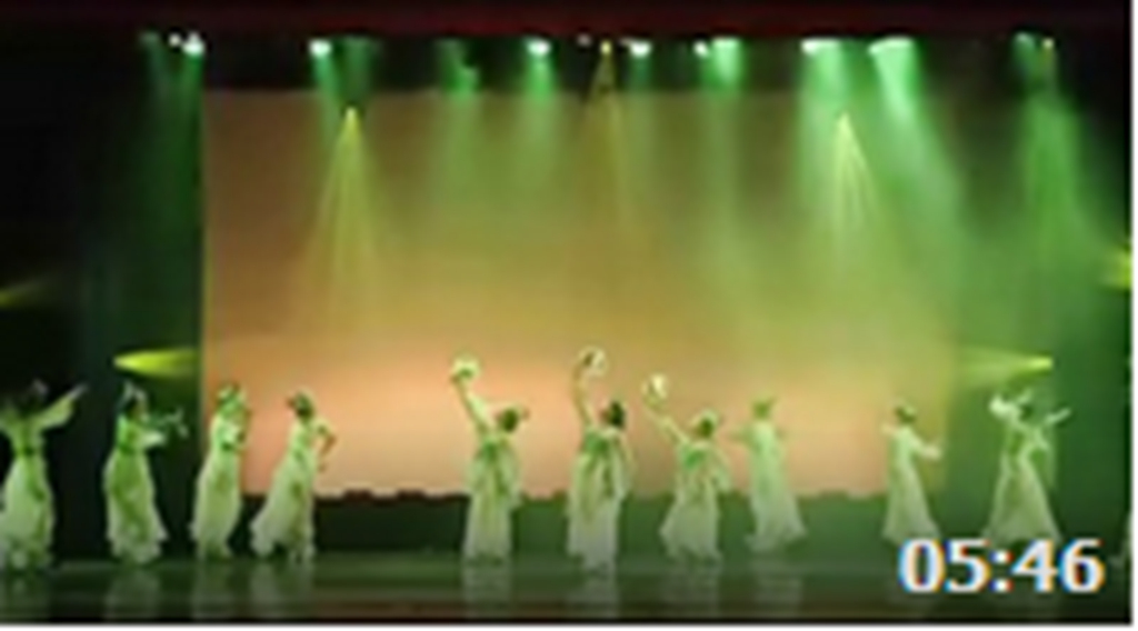 �ŵ��� ���� �ർë�� ���������ѧ�赸��2010���赸ר��