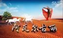 2015最新广场舞 阿瓦尔古丽 编舞応子 个人版