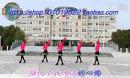 紫陌阡广场舞 哥妹情缘 附谢春燕老师教学