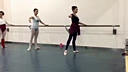 ���˰��ٻ�ѵ ������ �Ѹ�ѵ��