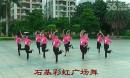 卢姨广场舞 寄语 附正背面动作分解教学 广场舞视频大全