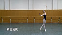 ��Ծ �Ͻ���� �й��ŵ��������ѵ���̲�