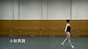 ��Ծ С������ �й��ŵ��������ѵ���̲�