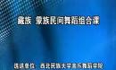 桃李杯 藏族蒙族民间舞组合课