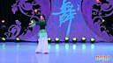杨艺小素广场舞 愿做菩萨那朵莲