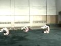 �й��赸�书��ѧ12 �а�̲�