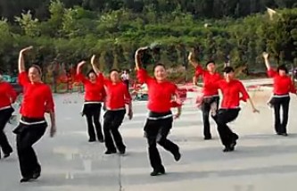 高清叶子广场舞《山里红》团队版
