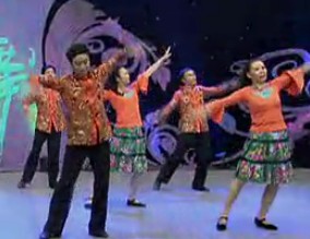 杨艺《我要去新疆》2012最新全民广场舞