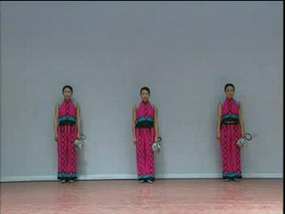 中老年 《迪牌健身球保健操第六套》