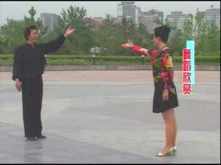 中老年舞蹈 华尔兹