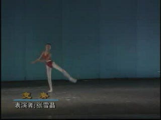 ����������ٱ��� ��ѩ��