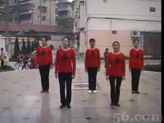 舞蹈葬花(视频)