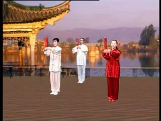 中老年 太极功夫扇