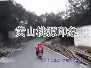 桃源印象