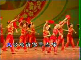 儿童舞蹈 大公鸡 幼儿舞蹈