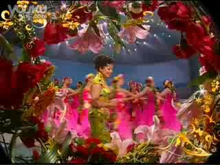 歌舞《百花齐放》2008张也