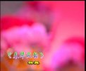 ���������ϡ�Ϧ�������������軨��Ⱥ��