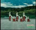 ������ũū�Ѹ質���赸��ѧ������ϵ��