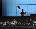 �����еĺ������������������ϳ��������������ţ�GUIHUA123 ԭ���赸��Ƶ��