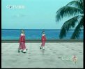 �赸��ĸ�׺ӡ����ֽ⶯�� 1