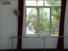���������������������赸