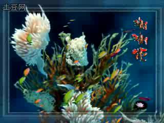 �赸��ɺ���̡�������㳡�����赸q
