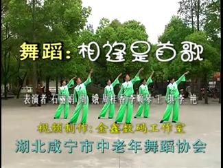 �������赸��������׸衷������㳡������ ����ʡ�������������赸Э��