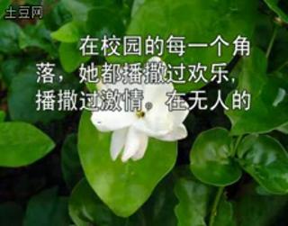�ŵ���  ����