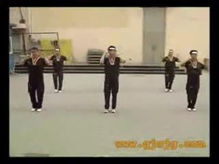 �����꽡���衶˫�ڹ����ݡ�