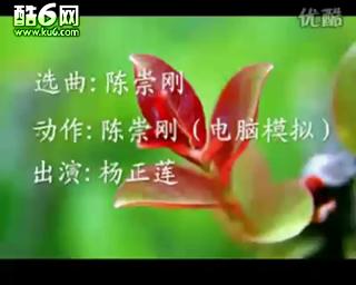 ���� ���㻨 �����꽡����