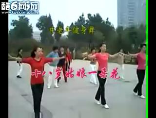 �����꽡���� ʮ�������һ�仨