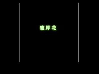 ���������ŵ���