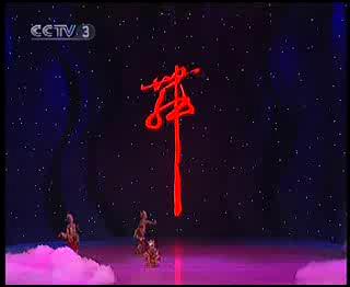 �ٶ��赸 ��������_�����CCTV�赸����