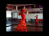 ���ܵ�sevillanas�赸