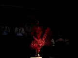 Flamenco Dance(�����Ÿ���).