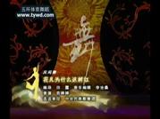 ���Ľ�CCTV�赸���������衶����Ϊʲô�����졷