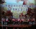 体型健美操 青春再现 南区代表队表演
