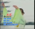 特长生舞蹈 水花