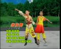 特长生舞蹈 维族舞