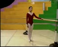 ���ȵ�ѵ������-��������ѵ���̲�