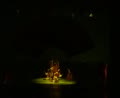 第三届 小荷风采 春晓 编导:黄幼君、戴丽虹、红苹